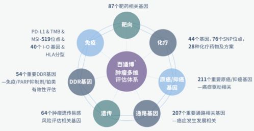 臻和科技獲超十億元E輪融資，加速腫瘤診斷產品研發及信息技術咨詢服務升級