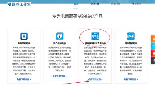 教你批量查詢快遞物流信息，一眼發現異常件——信息技術咨詢服務指南